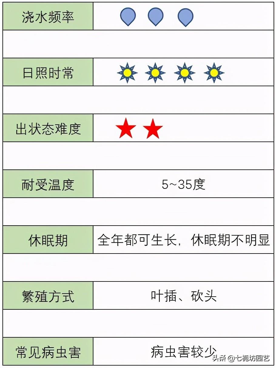 黃麗怎么施肥，黃麗怎么繁殖？