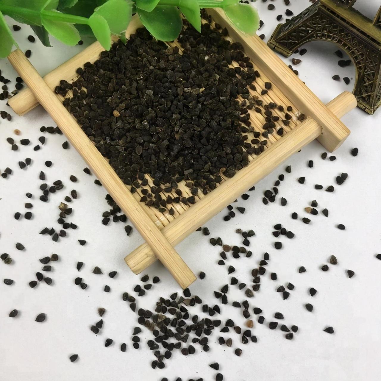 飛燕草的種植方法，冬天能過(guò)冬嗎，大花飛燕草怎么過(guò)冬？