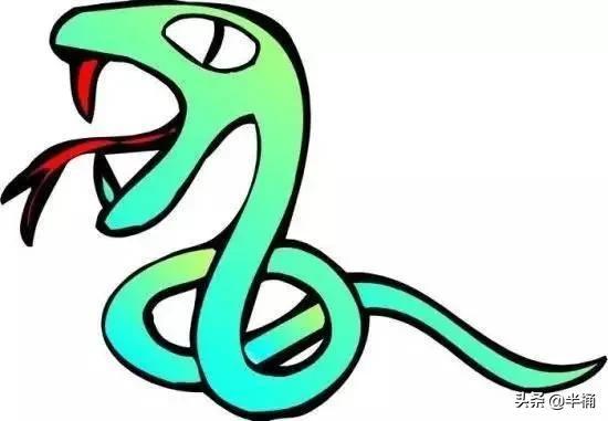 菜花蛇為什么不怕眼鏡王蛇 菜花蛇為什么不怕眼鏡王蛇