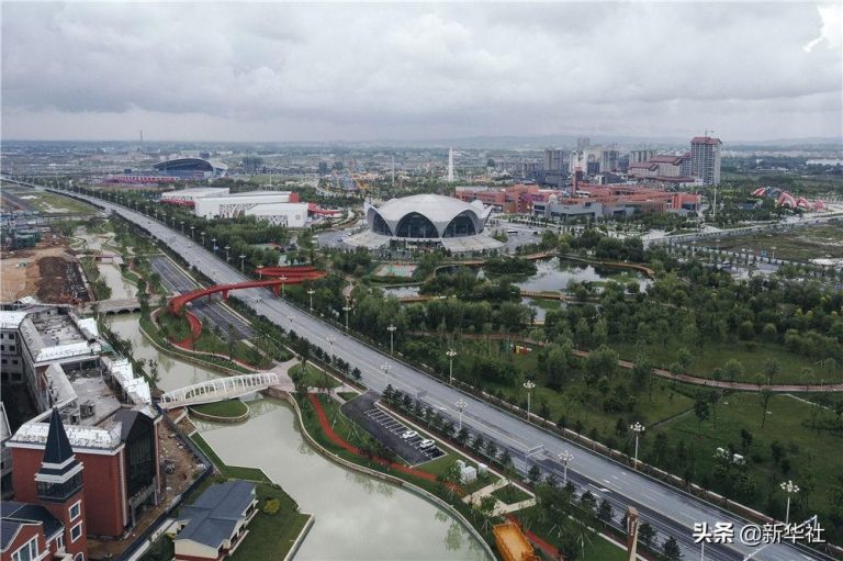 不夜城的扦插繁殖，梅花可以扦插繁殖嗎?