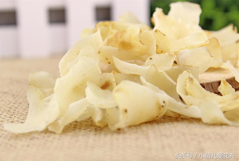 百合開(kāi)花之后怎么處理，百合一年開(kāi)花幾次，如何讓百合分叉多開(kāi)花?