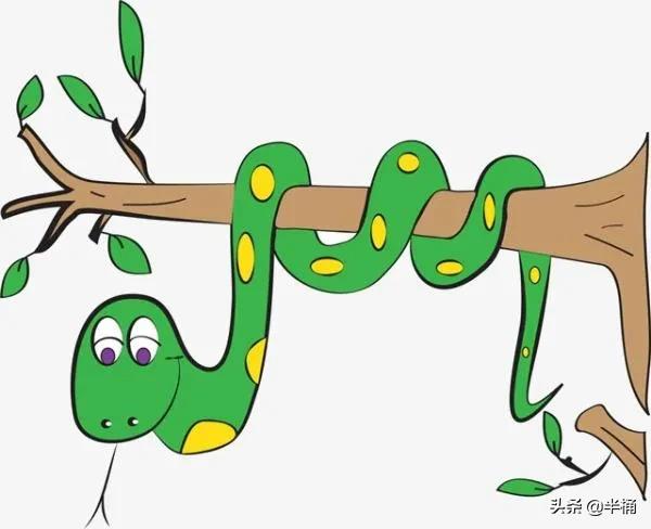 菜花蛇為什么不怕眼鏡王蛇 菜花蛇為什么不怕眼鏡王蛇