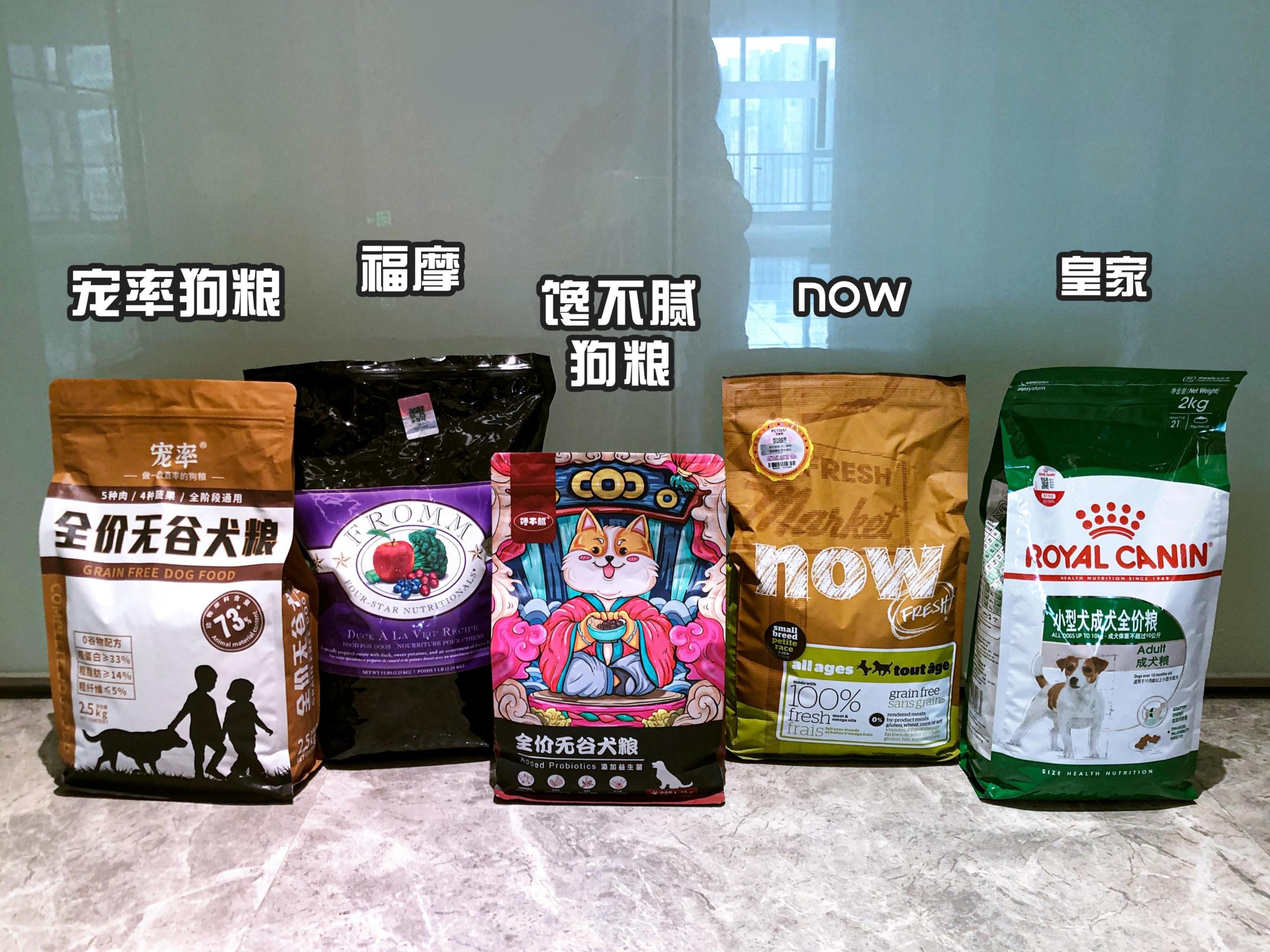 狗狗討厭主人的表現有哪些(狗狗為什么討厭主人)