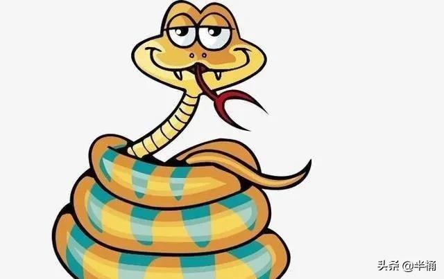 菜花蛇為什么不怕眼鏡王蛇 菜花蛇為什么不怕眼鏡王蛇