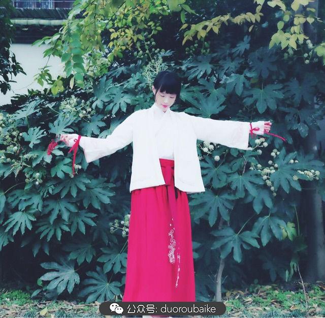 多肉白鳥(niǎo)怎么施肥，白鳥(niǎo)多肉爆盆?