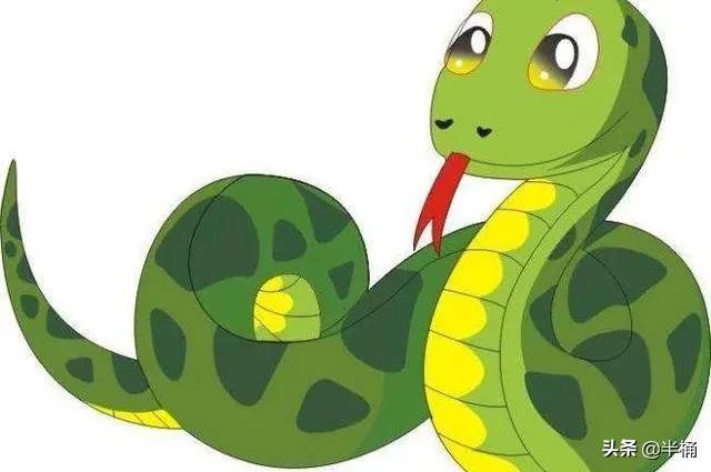 菜花蛇為什么不怕眼鏡王蛇 菜花蛇為什么不怕眼鏡王蛇