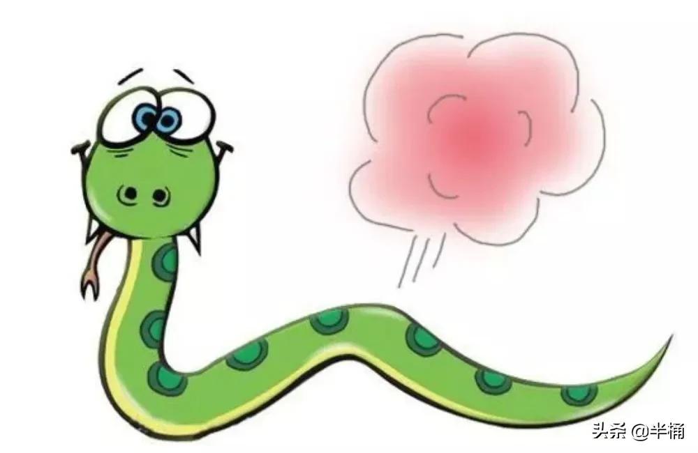 菜花蛇為什么不怕眼鏡王蛇 菜花蛇為什么不怕眼鏡王蛇