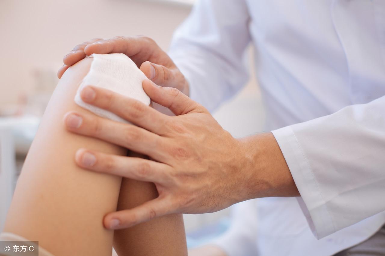 落地生根什么時(shí)候開(kāi)花，落地生根怎么治痔瘡?