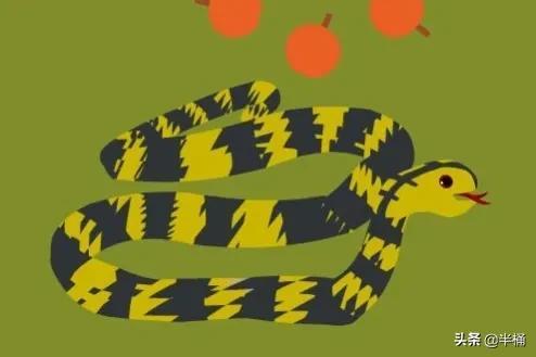 菜花蛇為什么不怕眼鏡王蛇 菜花蛇為什么不怕眼鏡王蛇