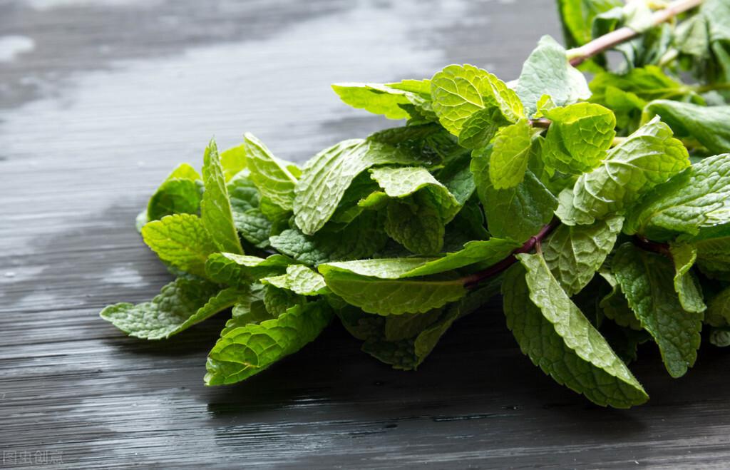 薄荷分株繁殖方法，薄荷自己會(huì )分株嗎，多肉植物的扦插方法?