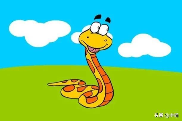 菜花蛇為什么不怕眼鏡王蛇 菜花蛇為什么不怕眼鏡王蛇