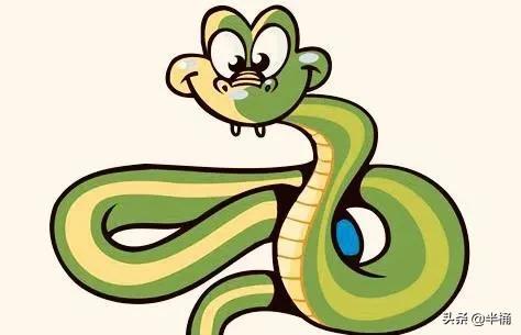 菜花蛇為什么不怕眼鏡王蛇 菜花蛇為什么不怕眼鏡王蛇