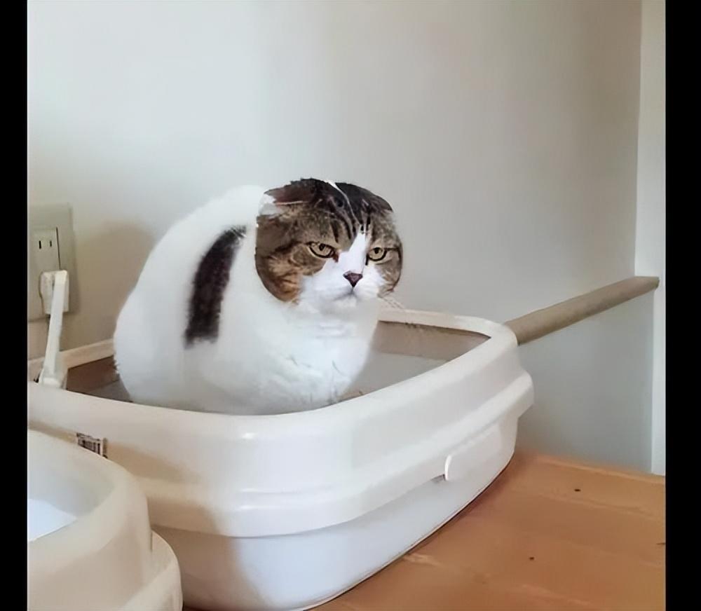 礦泉水打開(kāi)第二天還可以喝嗎?，礦泉水打開(kāi)第二天能喝嗎