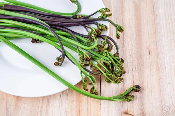 厥菜——山菜之王（被列為致癌蔬菜，可適量食用）