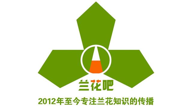 盆栽蘭花養殖方法（盆栽蘭花如何養殖）