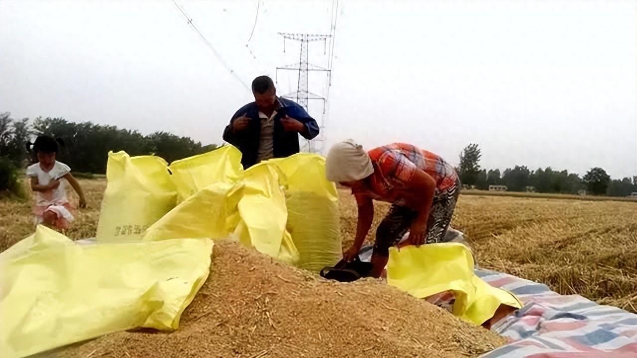 地補取消，農業(yè)補貼停發(fā)，農民種地意愿大打折扣