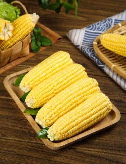 玉米種植方法，來(lái)看高效種植玉米的技巧