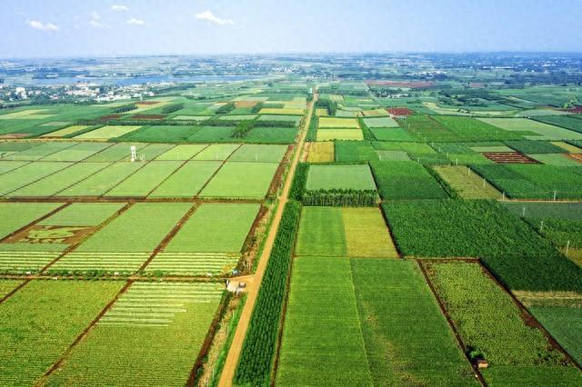 搞農業(yè)賺錢(qián)，有沒(méi)有想過(guò)為什么農民不賺錢(qián)